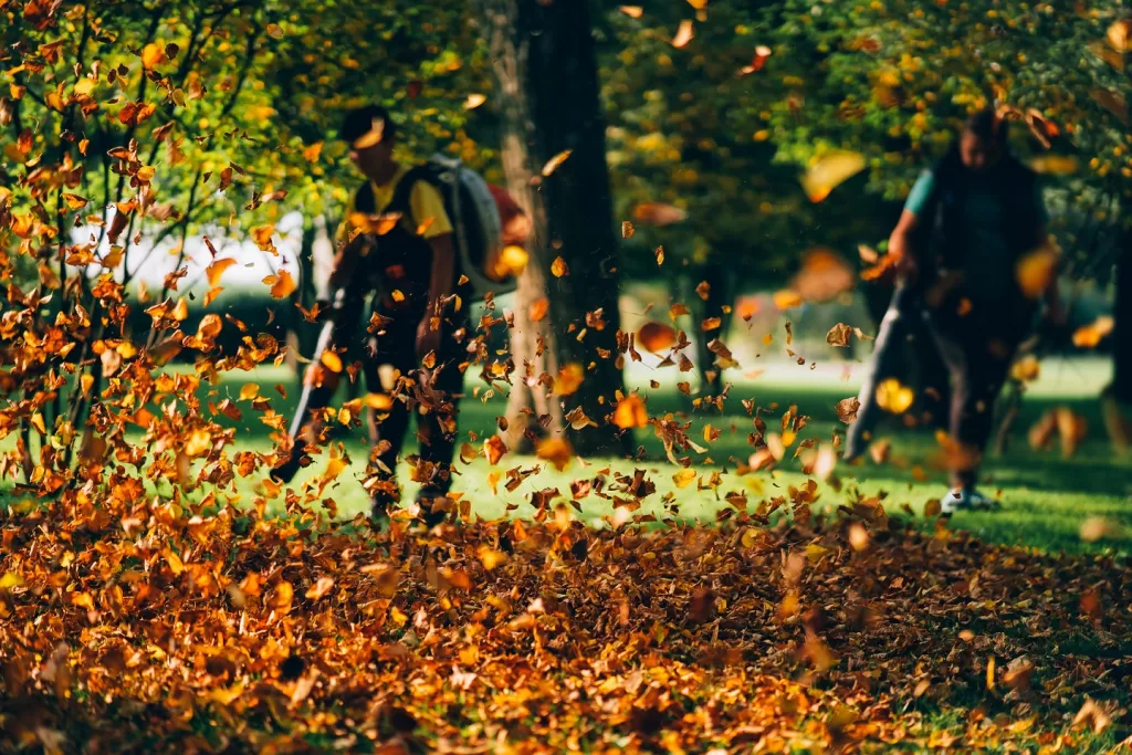 What Is Mulch Glue?